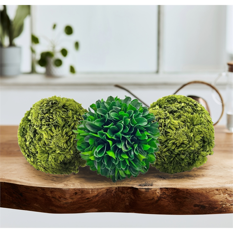 Bergamo Art Box of 3 Preserved Decorative Boxwood and Cockscomb Topiary Balls