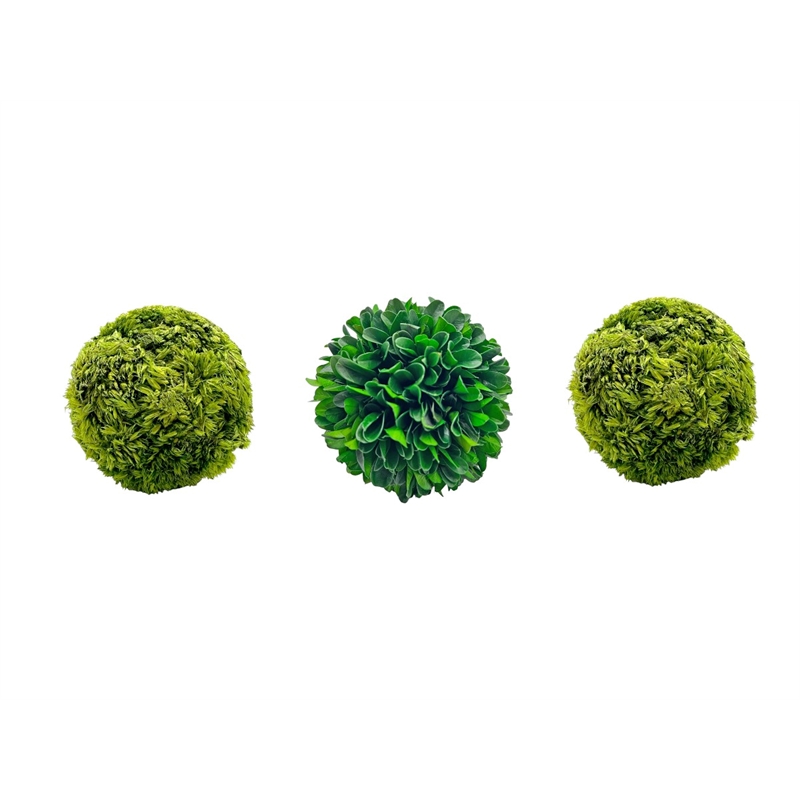 Bergamo Art Box of 3 Preserved Decorative Boxwood and Cockscomb Topiary Balls