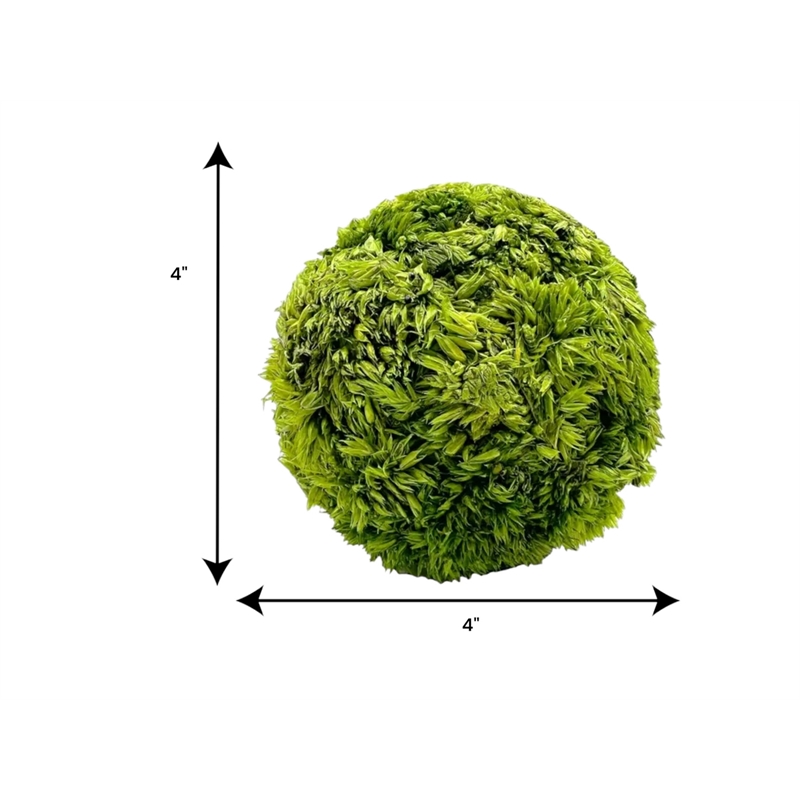 Bergamo Art Box of 3 Preserved Decorative Boxwood and Cockscomb Topiary Balls