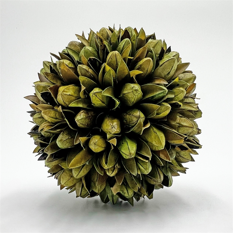 Bergamo Art Preserved PineCone and Oak Leaves Balls Bowl filler Decorative Orbs
