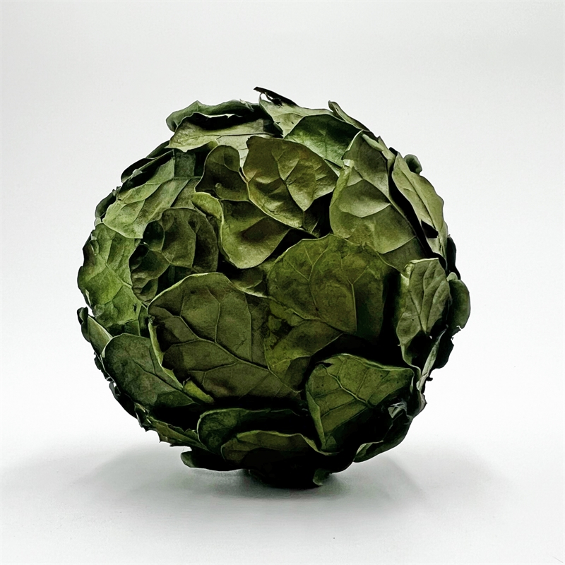 Bergamo Art Preserved PineCone and Oak Leaves Balls Bowl filler Decorative Orbs