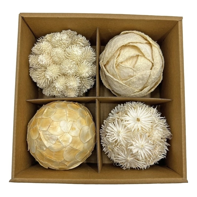 Bergamo Art Preserved Decorative Conifer and Pinecone Topiary Balls in White