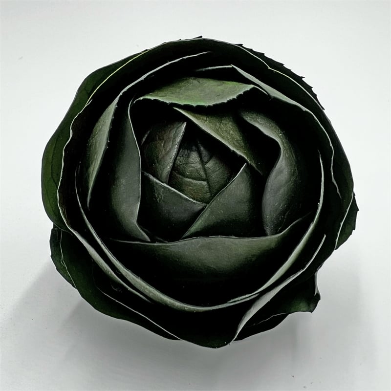 Bergamo Art Preserved Decorative Real Leaves Topiary Ball in Green