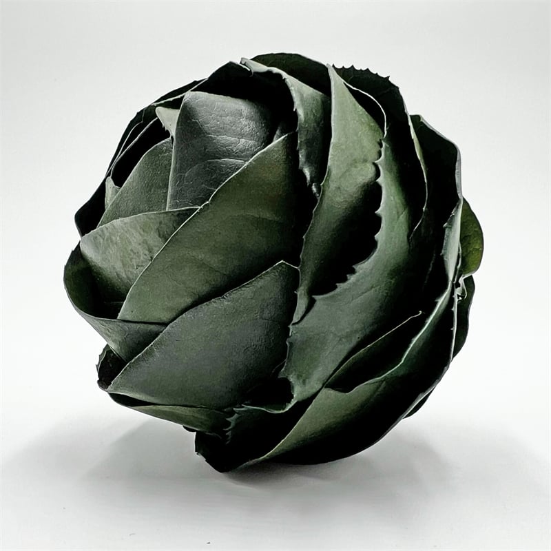 Bergamo Art Preserved Decorative Real Leaves Topiary Ball in Green
