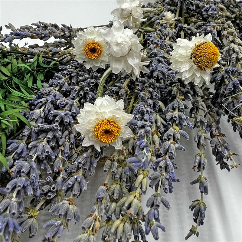 Bergamo Art Preserved Decorative Real Lavender Wreaths in Purple