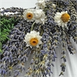 Bergamo Art Preserved Decorative Real Lavender Wreaths in Purple