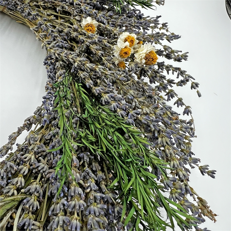 Bergamo Art Preserved Decorative Real Lavender Wreaths in Purple