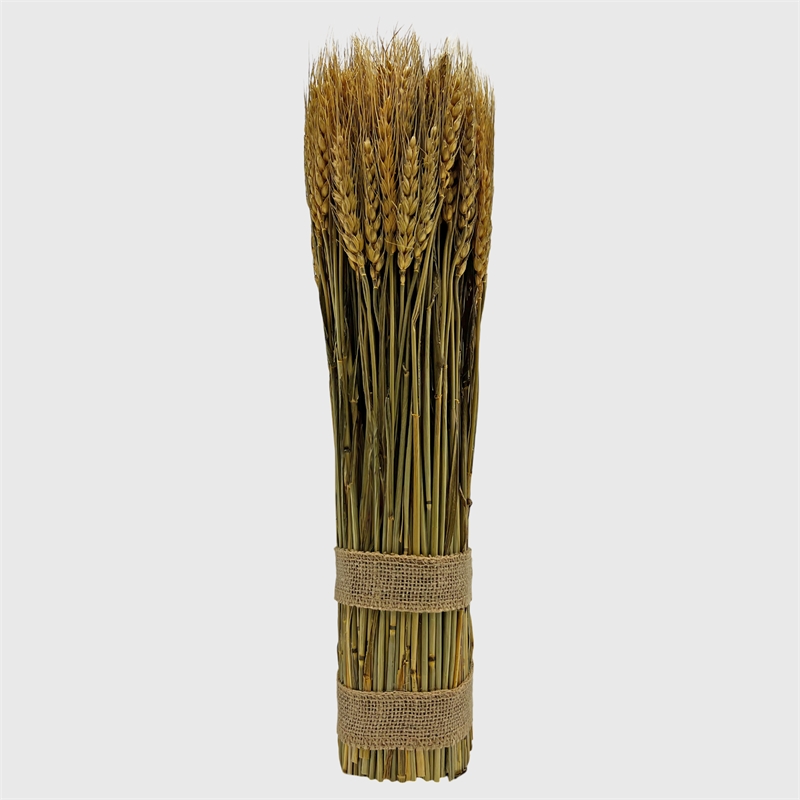 Bergamo Art Preserved Decorative Wheat Standing Plant in Gold