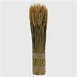 Bergamo Art Preserved Decorative Wheat Standing Plant in Gold
