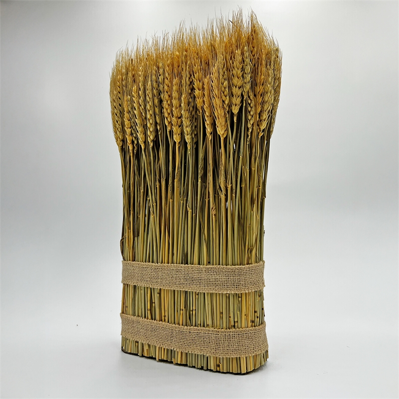Bergamo Art Preserved Decorative Wheat Standing Plant in Gold