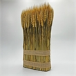 Bergamo Art Preserved Decorative Wheat Standing Plant in Gold