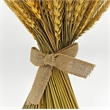 Bergamo Art Preserved Decorative Wheat Standing Topiary Plant in Gold