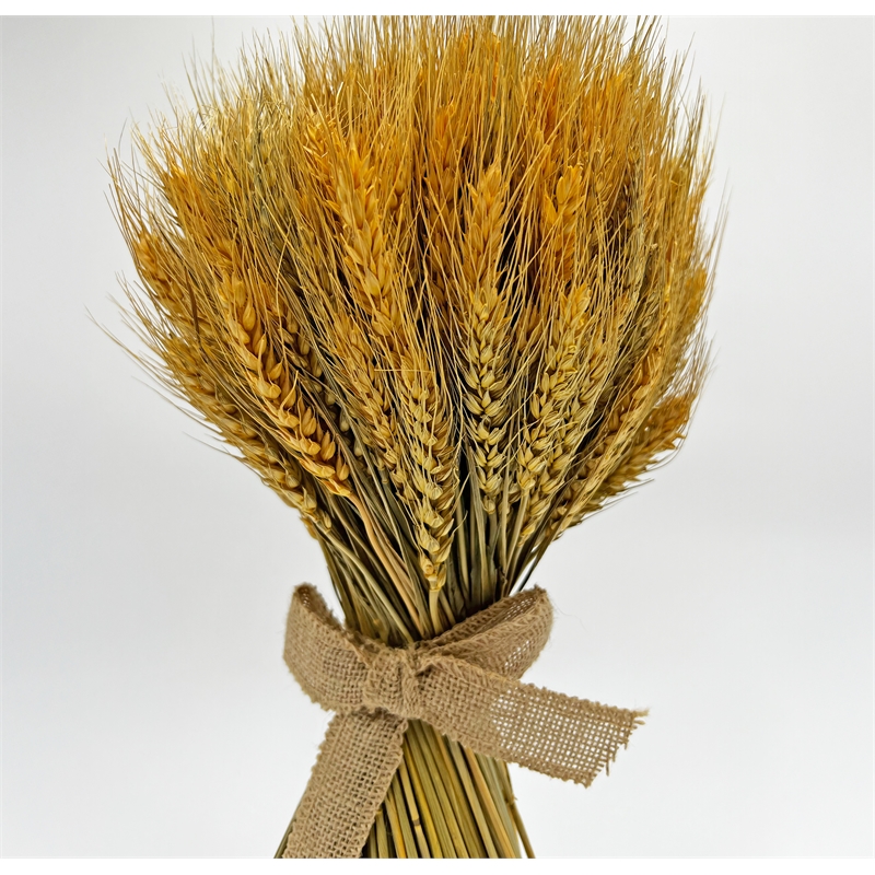 Bergamo Art Preserved Decorative Wheat Standing Topiary Plant in Gold