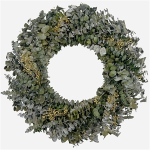 bergamo art preserved decorative real dried eucalyptus wreath in green