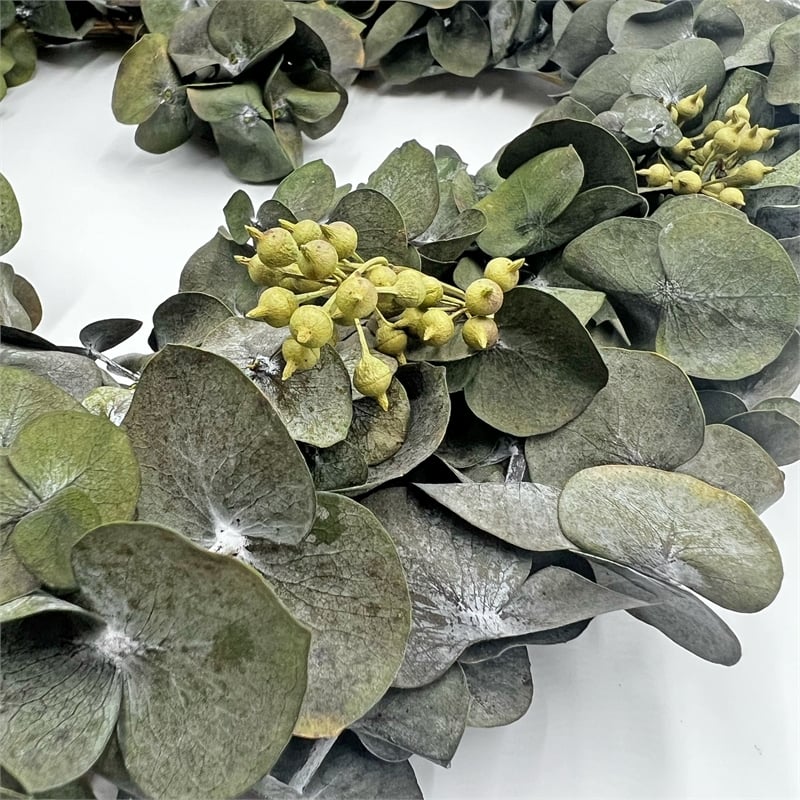 Bergamo Art Dried Preserved Valentines Day Real Green Eucalyptus Heart Wreath