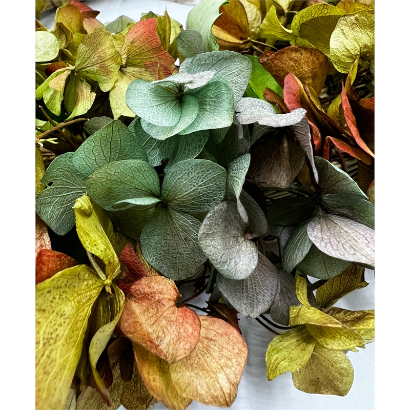 Bergamo Art Real Preserved Dried Decorative Pastel Hydrangea Wreath 20 Inch