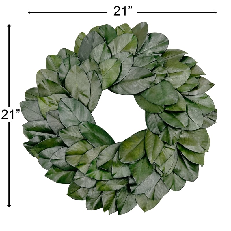 Bergamo Art 21 Inche Preserved Decorative Dried Real Magnolia Wreath in Green
