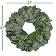 Bergamo Art 21 Inche Preserved Decorative Dried Real Magnolia Wreath in Green