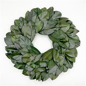 bergamo art 21 inche preserved decorative dried real magnolia wreath in green