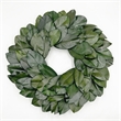 Bergamo Art 21 Inche Preserved Decorative Dried Real Magnolia Wreath in Green