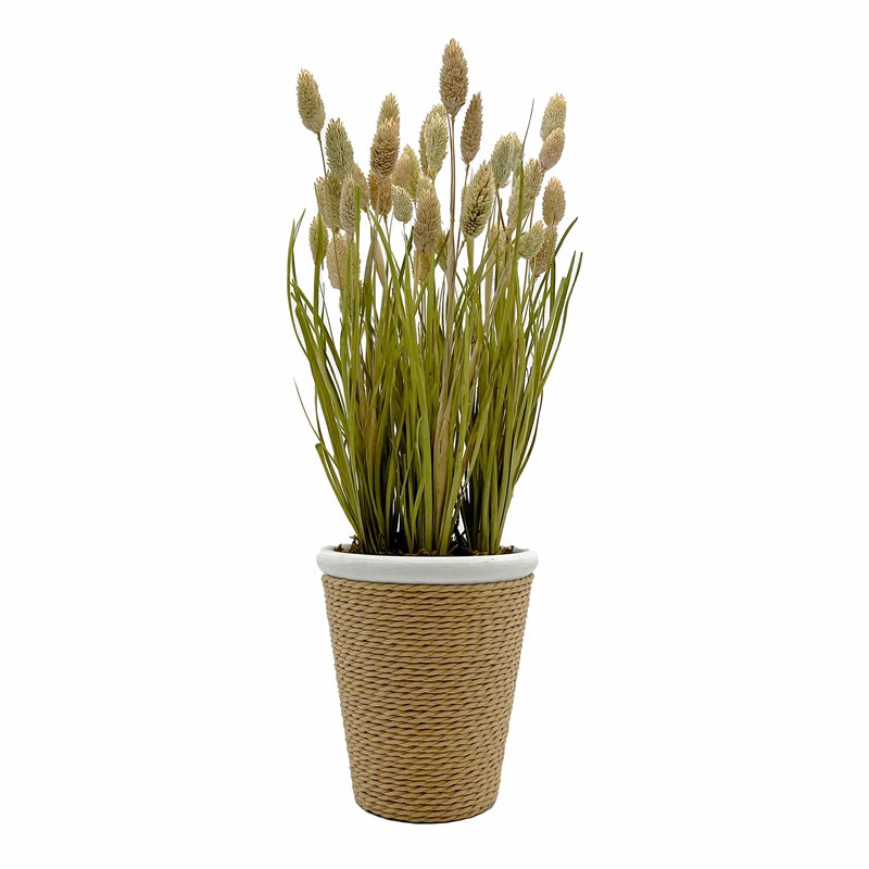 Bergamo Art Preserved Decorative Rustic Oat Canary Pampas Grass Ceramic Pot Set