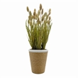 Bergamo Art Preserved Decorative Rustic Oat Canary Pampas Grass Ceramic Pot Set