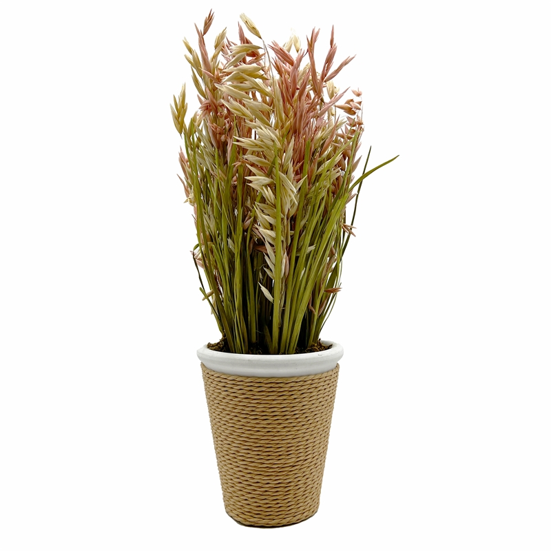 Bergamo Art Preserved Decorative Rustic Oat Canary Pampas Grass Ceramic Pot Set