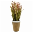Bergamo Art Preserved Decorative Rustic Oat Canary Pampas Grass Ceramic Pot Set