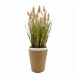 Bergamo Art Preserved Decorative Rustic Oat Canary Pampas Grass Ceramic Pot Set
