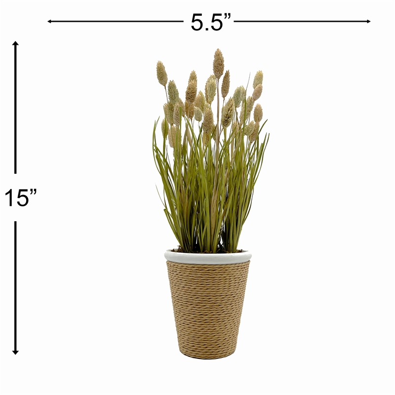 Bergamo Art Preserved Decorative Rustic Oat Canary Pampas Grass Ceramic Pot Set