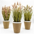 Bergamo Art Preserved Decorative Rustic Oat Canary Pampas Grass Ceramic Pot Set