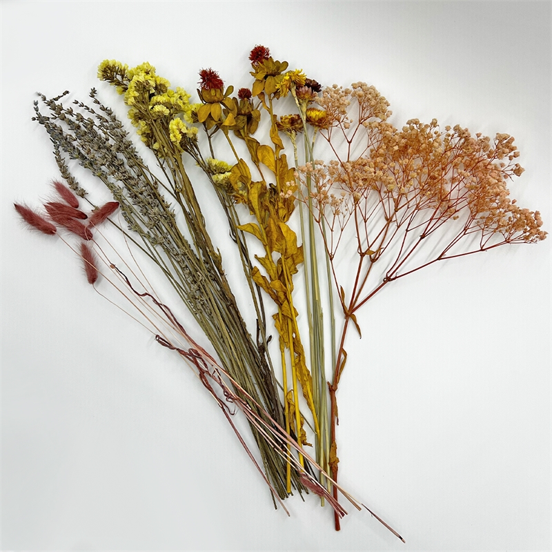 Bergamo Art 10 Inch High Real Preserved Mixed Bouquets Mix 1 in Small