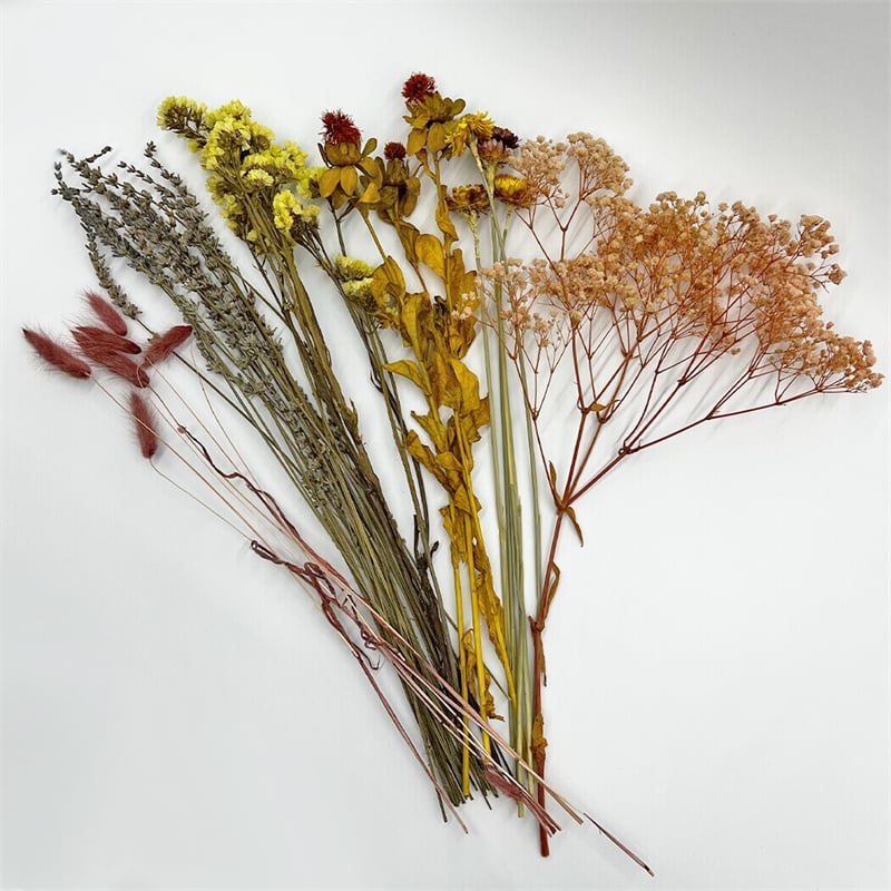 Bergamo Art 14 Inch High Real Preserved Mixed Bouquets Mix 1 in Medium
