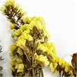 Bergamo Art 14 Inch High Real Preserved Mixed Bouquets Mix 1 in Medium