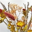 Bergamo Art 14 Inch High Real Preserved Mixed Bouquets Mix 1 in Medium