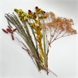 Bergamo Art 20 Inch High Real Preserved Mixed Bouquets Mix 1 in Large