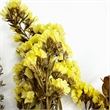 Bergamo Art 20 Inch High Real Preserved Mixed Bouquets Mix 1 in Large