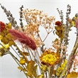 Bergamo Art 20 Inch High Real Preserved Mixed Bouquets Mix 1 in Large