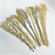 Bergamo Art 20 Inch High Real Preserved Mixed Bouquets Mix 2 in Large