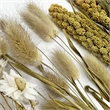 Bergamo Art 20 Inch High Real Preserved Mixed Bouquets Mix 2 in Large