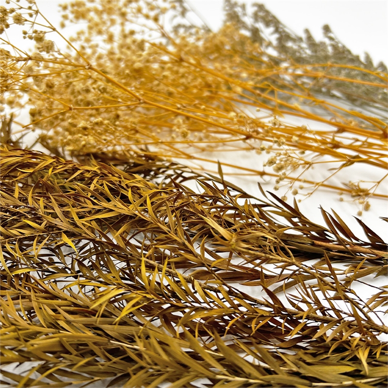 Bergamo Art 14 Inch High Real Preserved Mixed Bouquets Mix 3 in Medium