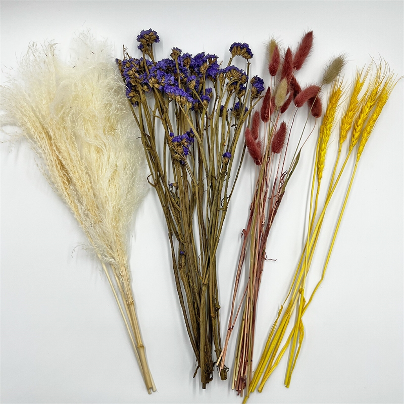 Bergamo Art 10 Inch High Real Preserved Mixed Bouquets Mix 4 in Small