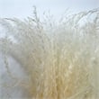Bergamo Art 14 Inch High Real Preserved Mixed Bouquets Mix 4 in Medium