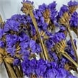 Bergamo Art 14 Inch High Real Preserved Mixed Bouquets Mix 4 in Medium