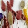 Bergamo Art 14 Inch High Real Preserved Mixed Bouquets Mix 4 in Medium