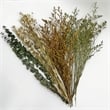 Bergamo Art 10 Inch High Real Preserved Mixed Bouquets Mix 6 in Small