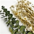 Bergamo Art 10 Inch High Real Preserved Mixed Bouquets Mix 6 in Small