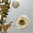 Bergamo Art 10 Inch High Real Preserved Mixed Bouquets Mix 6 in Small