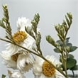 Bergamo Art 10 Inch High Real Preserved Mixed Bouquets Mix 6 in Small