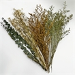 Bergamo Art 14 Inch High Real Preserved Mixed Bouquets Mix 6 in Medium